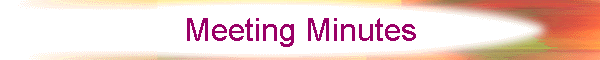 Meeting Minutes
